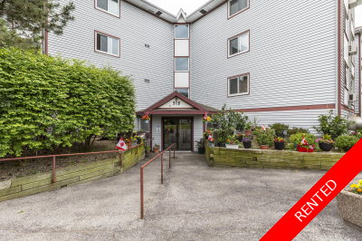 Hunt Club Apartment for rent:  Studio  (Listed 2024-11-29)